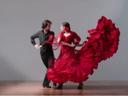Flamenco-flamenco-29464383-1024-768